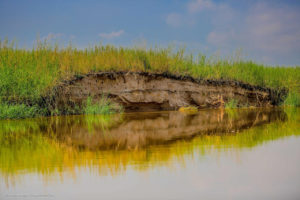 Fleuve Congo